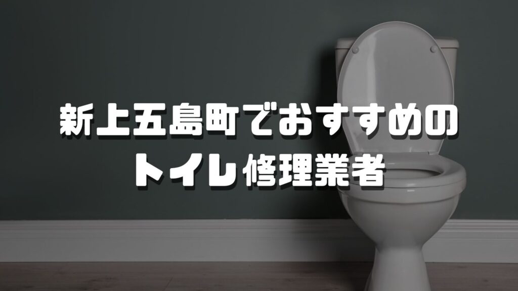 <span class="title">新上五島町のおすすめトイレ修理業者3選</span>